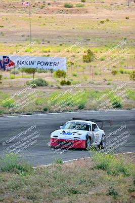 media/May-05-2024-Lucky Dog Racing (Sun) [[8a365fce5b]]/1030am-Turn 3/